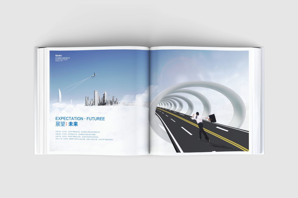船山区画册设计